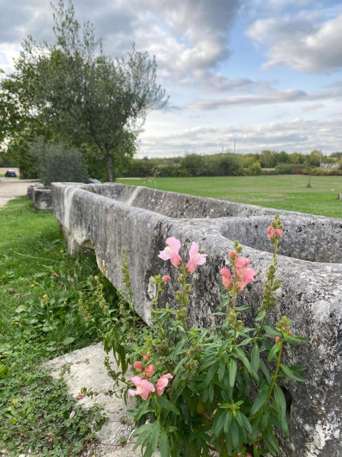 Domaine De La Laigne - Spa Asnières-la-Giraud 외부 사진